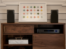 Load image into Gallery viewer, TA-100 Stereo Preamp/DAC/Tuner With Integrated Amplifier
